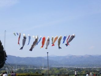 公園だより最新投稿写真