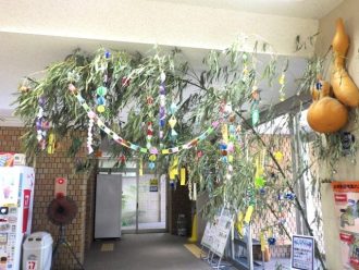 公園だより最新投稿写真
