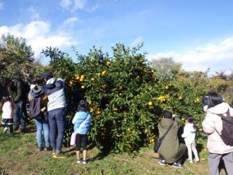 主催イベント：2025年12月イベントの画像