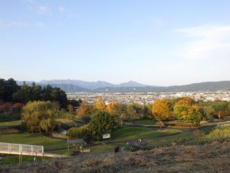 公園だより最新投稿写真