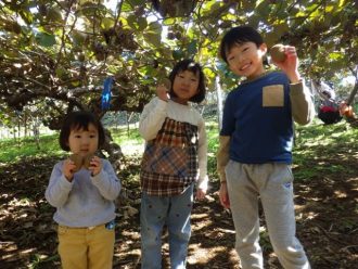 公園だより最新投稿写真