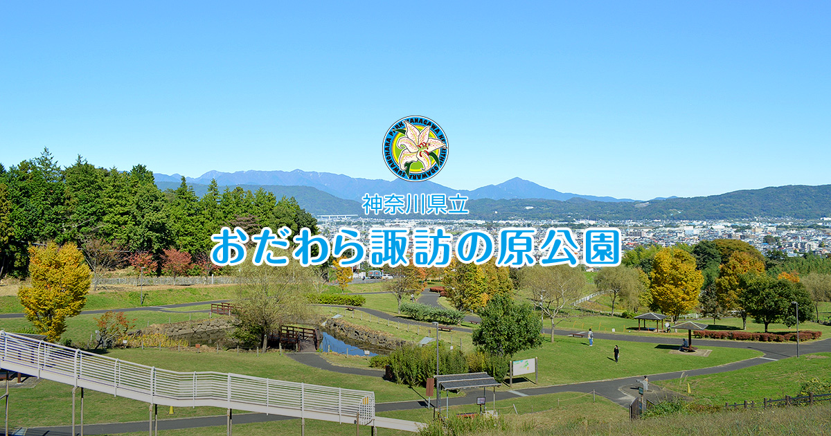 県立 おだわら諏訪の原公園