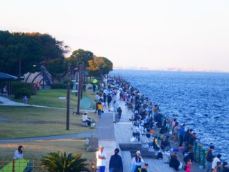 公園だより最新投稿写真