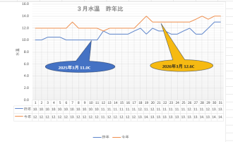 公園だより最新投稿写真