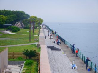 公園だより最新投稿写真