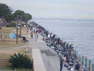 公園だより最新投稿写真