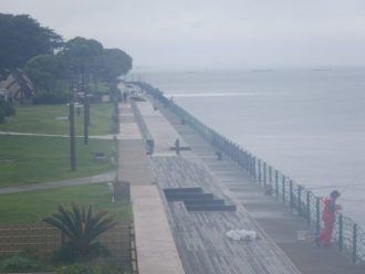 公園だより最新投稿写真