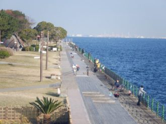 公園だより最新投稿写真