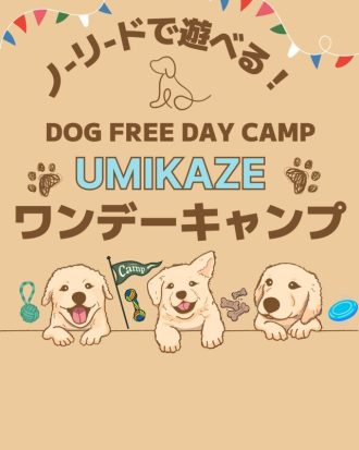 主催イベント：DOG FREE DAY CAMP「うみかぜワンデーキャンプ」のお知らせの画像