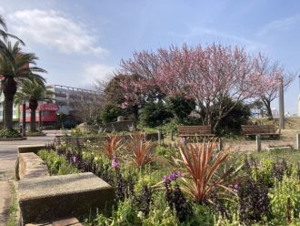 公園だより最新投稿写真