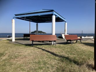 公園だより最新投稿写真