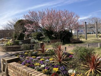 公園だより最新投稿写真