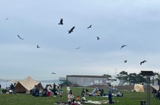公園だより最新投稿写真