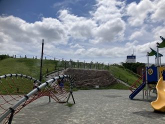 公園だより最新投稿写真