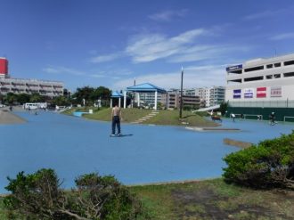公園だより最新投稿写真