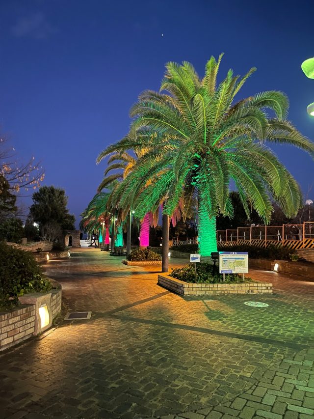 うみかぜ公園では、2023年12月8日(金)から今年も、Light UPを開催し 