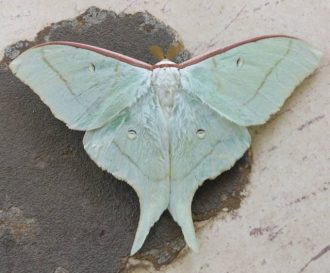 公園だより最新投稿写真