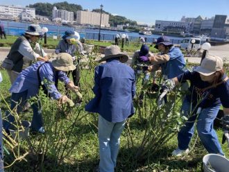 公園だより最新投稿写真