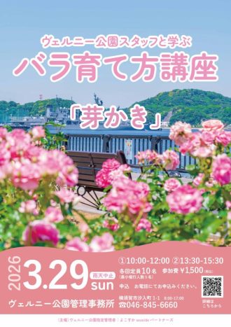 主催イベント：「ヴェルニー公園スタッフと学ぶバラ育て方講座」開催のお知らせの画像