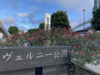 公園だより最新投稿写真