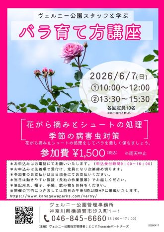 主催イベント：「ヴェルニー公園スタッフと学ぶバラ育て方講座」開催のお知らせの画像