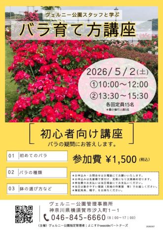主催イベント：「ヴェルニー公園スタッフと学ぶバラ育て方講座」開催のお知らせの画像