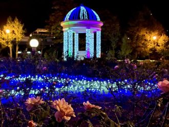 公園だより最新投稿写真