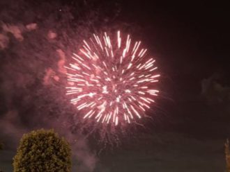 公園だより最新投稿写真