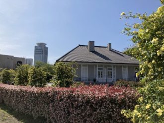 公園だより最新投稿写真