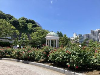 公園だより最新投稿写真