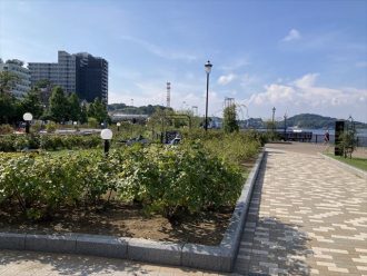 公園だより最新投稿写真