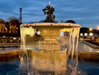 公園だより最新投稿写真