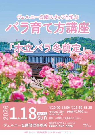 主催イベント：「ヴェルニー公園スタッフと学ぶバラ育て方講座」開催のお知らせの画像