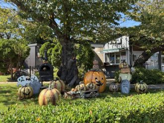 公園だより最新投稿写真