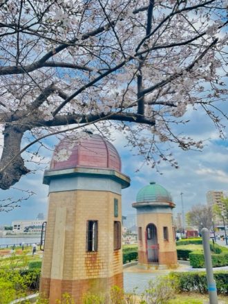 公園だより最新投稿写真