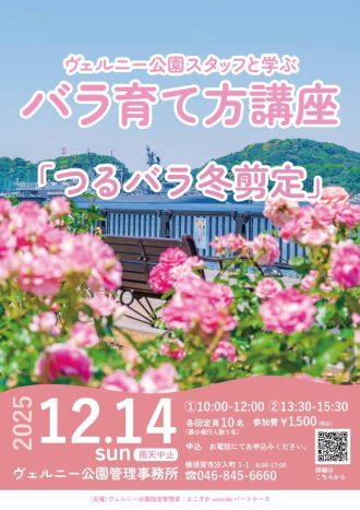 主催イベント:「ヴェルニー公園スタッフと学ぶバラ育て方講座」開催のお知らせの画像