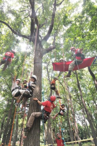 主催イベント:【受付中!】横山のテッペンを目指せ!ツリークライミングの画像