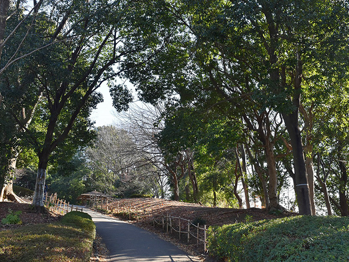 展望広場（築山）の写真